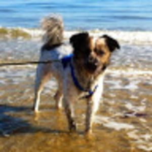 Meet your Posher, Steven